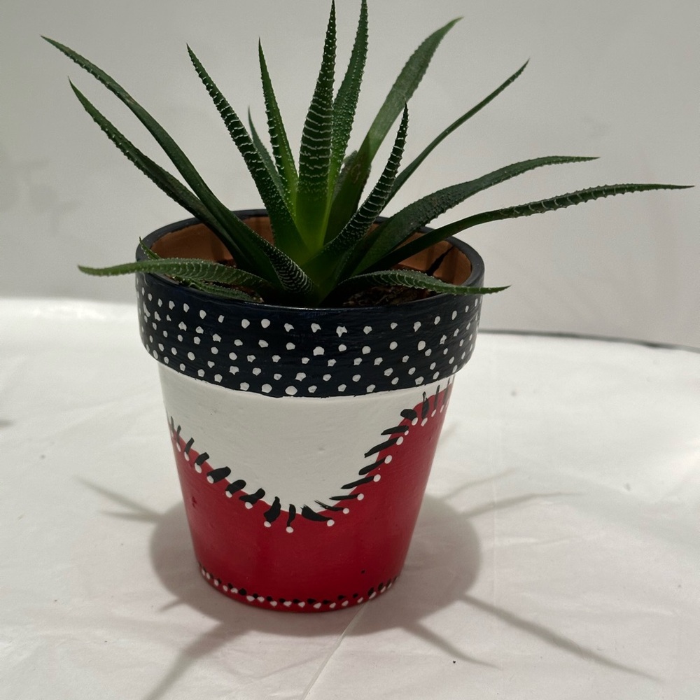 Hand-Painted Red and Black Planter